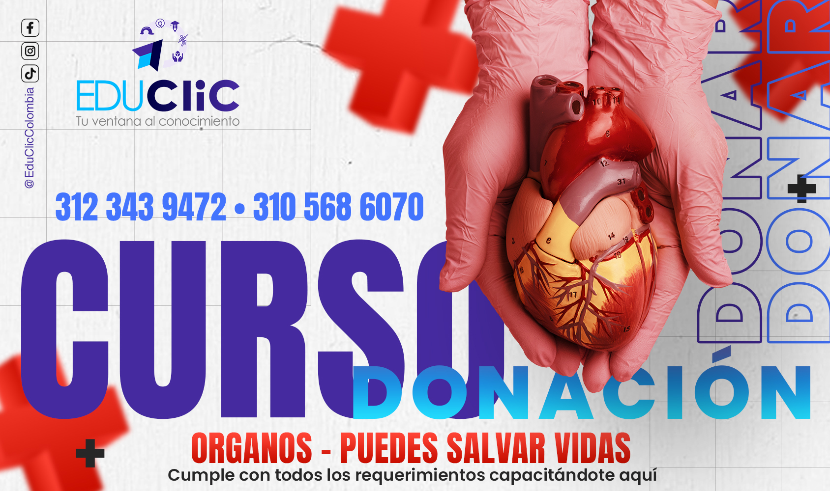 Portada de Detección Y Cuidado Del Donante De Órganos Y Tejidos